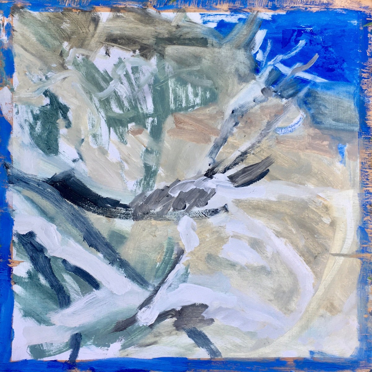 Driftwood, Coochiemudlo