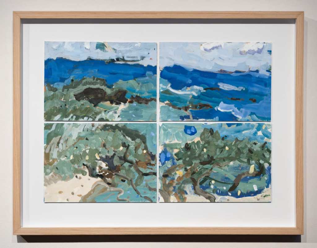 Frenchmans from Point Lookout, Stradbroke Island