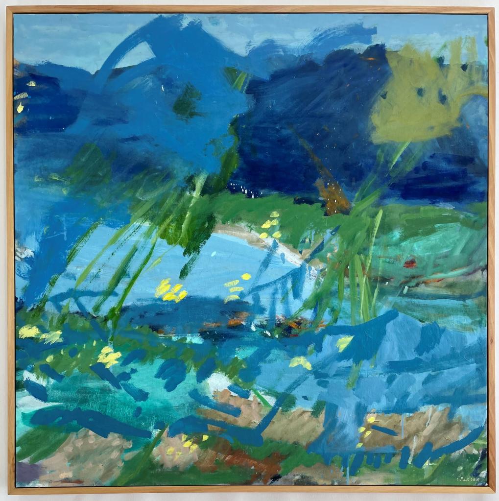 Heathland Mulgumpin Moreton Island